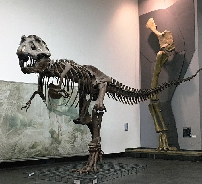 T-Rex