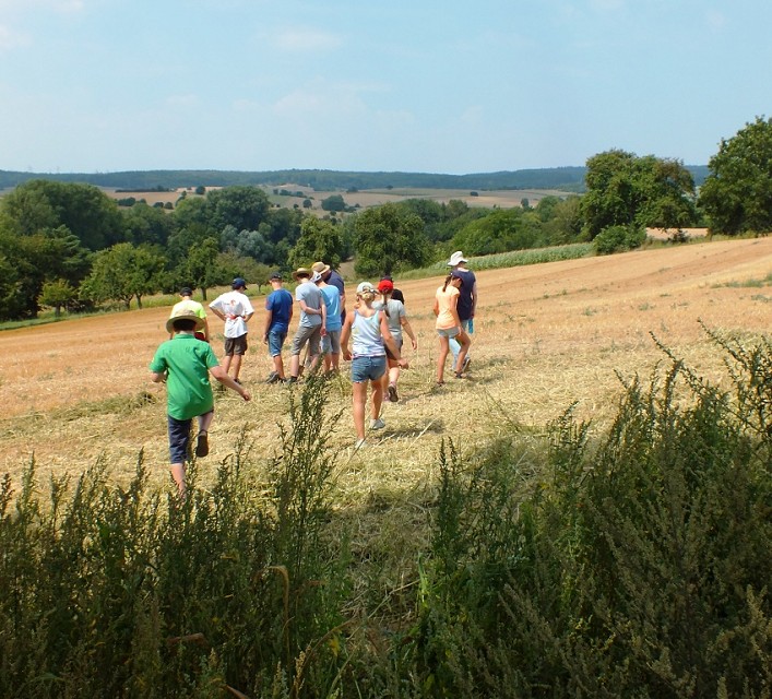 farmfielding